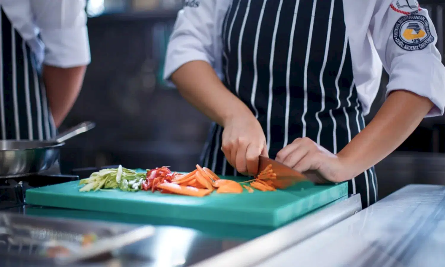 Profesyonel Aşçılık Eğitimi